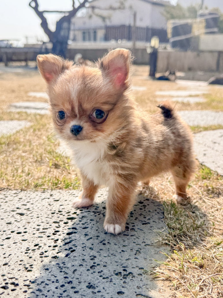와앤와